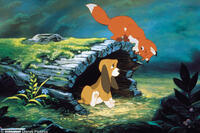 A scene from the film "The Fox and The Hound."