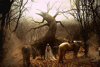 A scene from the film ``Sleepy Hollow.''