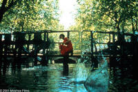 Audrey Tautou in Jean-Pierre Jeunet's "Amélie."