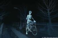 X-ray of Luke sitting on his bike in "The Human Body."