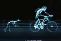 X-ray of a dog chasing Luke as he rides his bike in "The Human Body."