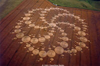 Scene from the film "Crop Circles: Quest for Truth ."