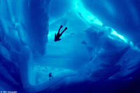 A scene from the film "Antarctica."