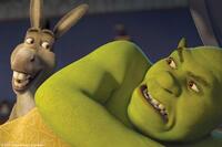 Donkey (Eddie Murphy) and Shrek (Mike Myers) in "Shrek the Third."