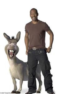 Eddie Murphy voices Donkey in "Shrek the Third."