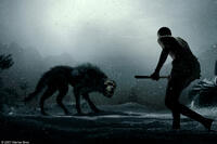 A wolf begins to circle the boy in "300." 