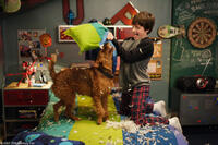 Shane (Josh Hutcherson) and new friend Rex enjoy an old-fashioned pillow fight in "Firehouse Dog."