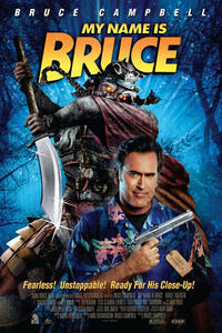 Poster art for "My Name is Bruce."