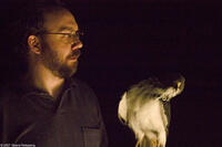Paul Giamatti in "The Hawk is Dying."