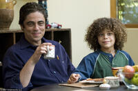 Benicio Del Toro and Micah Berry in "Things We Lost in the Fire."