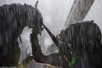 A scene from "Aliens vs. Predator: Requiem."