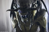 A scene from "Aliens vs. Predator: Requiem."