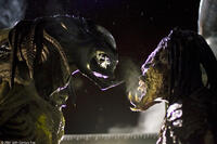 A scene from "Aliens vs. Predator: Requiem."