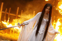 Crystal Liu as Golden Sparrow in "The Forbidden Kingdom."