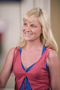 Amy Poehler in "Baby Mama."
