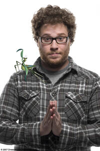 Seth Rogen voices the fast and quick-tempered Mantis, one of the legendary Furious Five, in "Kung Fu Panda."