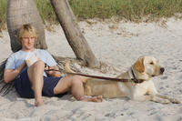 Owen Wilson as John Grogran in "Marley & Me."