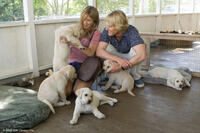 Jennifer Aniston as Jenny and Owen Wilson as John in "Marley & Me."