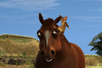 Monty and Slink in ``The Lion of Judah.''