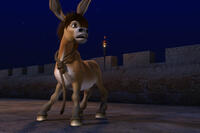 Jack in ``The Lion of Judah.''