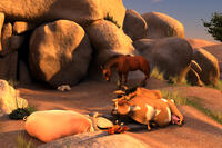 A scene from ``The Lion of Judah.''