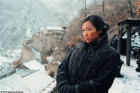 Jinglei Xu as Lian in "The Warlords."
