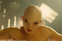 Delphine Chaneac as Dren in "Splice."