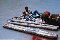 A scene from the film "Piranha."