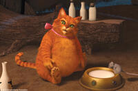 Puss in Boots in "Shrek Forever After."