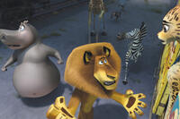 Gloria, Alex and Marty in ``Madagascar 3: Europe's Most Wanted.''