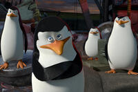 Kowalski, Skipper, Private and Rico in ``Madagascar 3: Europe's Most Wanted.''