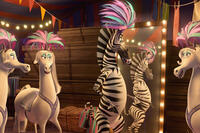 A scene from ``Madagascar 3: Europe's Most Wanted.''