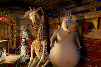 Marty, Melman and Gloria in ``Madagascar 3: Europe's Most Wanted.''