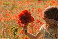 A scene from the film "Food Beware: The French Organic Revolution."