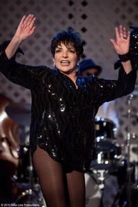 Liza Minnelli as herself in "Sex and the City 2."