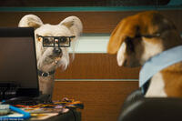 Peek and Lou in "Cats & Dogs: The Revenge of Kitty Galore."