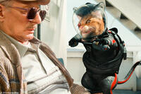 Robert Hewko as the Old Man and Angus MacDougall in "Cats & Dogs: The Revenge of Kitty Galore."