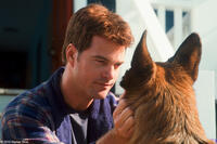 Chris O'Donnell as Shane and Diggs in "Cats & Dogs: The Revenge of Kitty Galore."