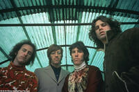 The Doors in "When You're Strange."