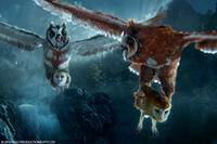 Jutt and Jatt, carrying Soren and Kludd in "Legend of the Guardians: The Owls of Ga'Hoole."