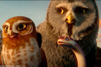 Gylfie, Twilight and Mrs. Plithiver in "Legend of the Guardians: The Owls of Ga'Hoole."