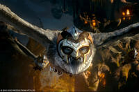 Allomere in "Legend of the Guardians: The Owls of Ga'Hoole."