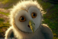 Eglantine in "Legend of the Guardians: The Owls of Ga'Hoole."