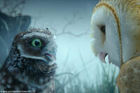 Digger and Soren in "Legend of the Guardians: The Owls of Ga'Hoole."