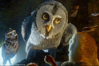 Digger, Twilight, Mrs. Plithiver and Soren in "Legend of the Guardians: The Owls of Ga'Hoole."