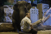Kevin James as Griffin Keyes in ``Zookeeper.''