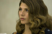 Marisa Tomei as Maggie McPherson in ``The Lincoln Lawyer.''