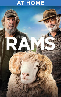 Rams poster