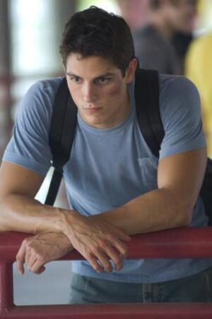 Never Back Down Fandango