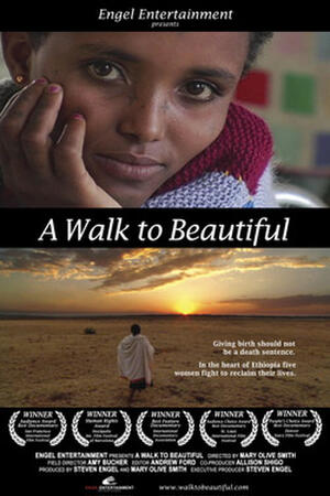 A Walk to Beautiful poster